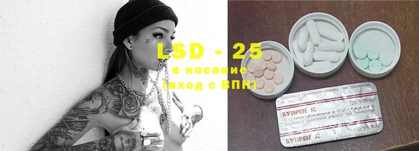 стафф Лабытнанги