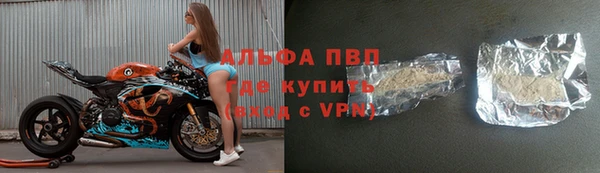 стафф Лабытнанги