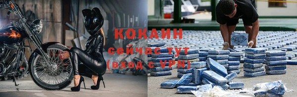 крисы Лагань