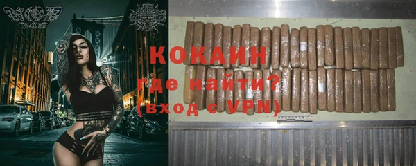 крисы Лагань