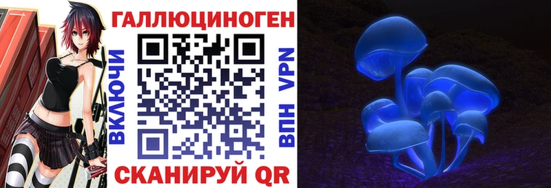 Галлюциногенные грибы GOLDEN TEACHER  площадка наркотические препараты  Керчь  цены  