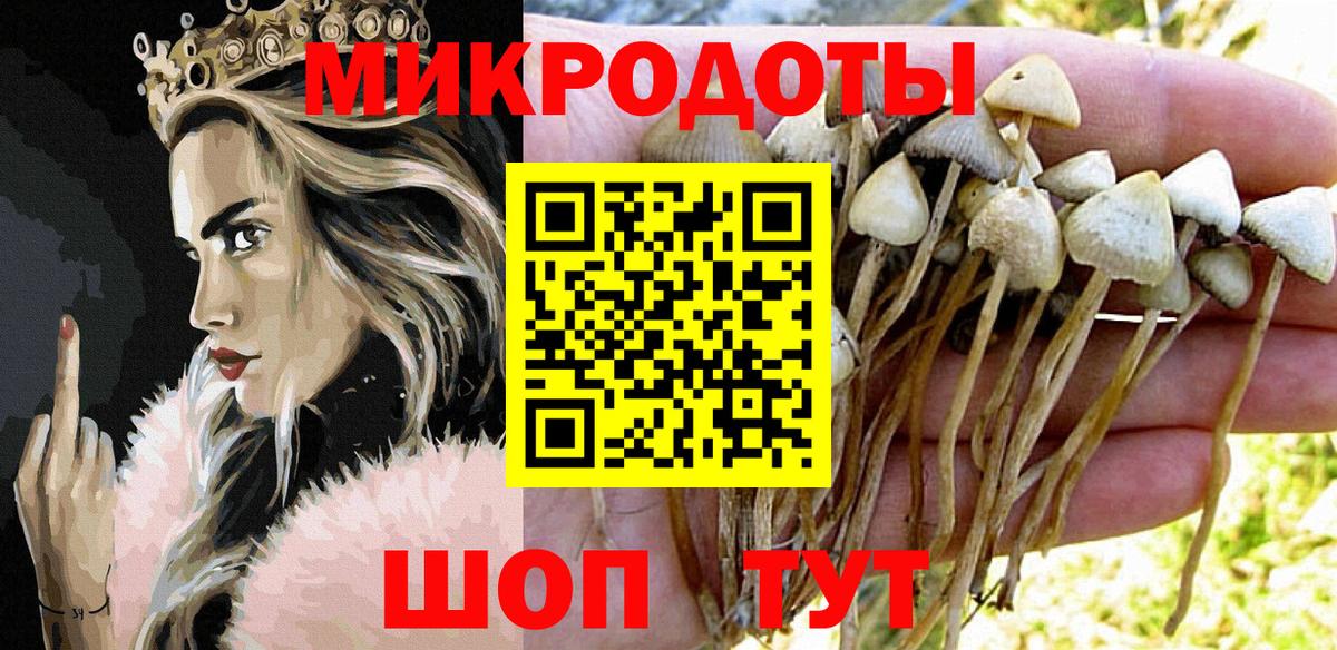 Псилоцибиновые грибы мухоморы  Вход с VPN  Керчь 