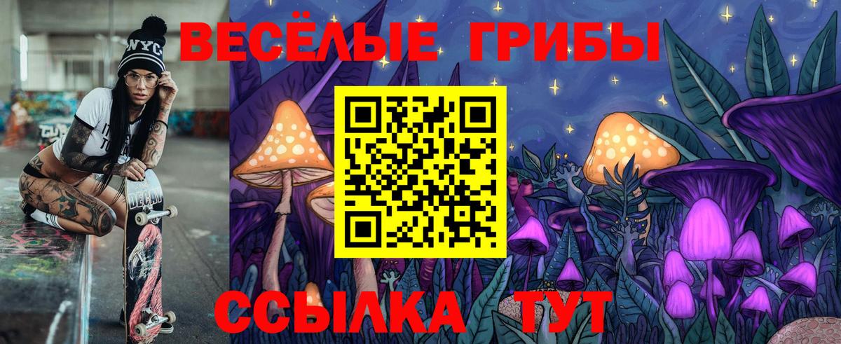 Галлюциногенные грибы Psilocybe Керчь